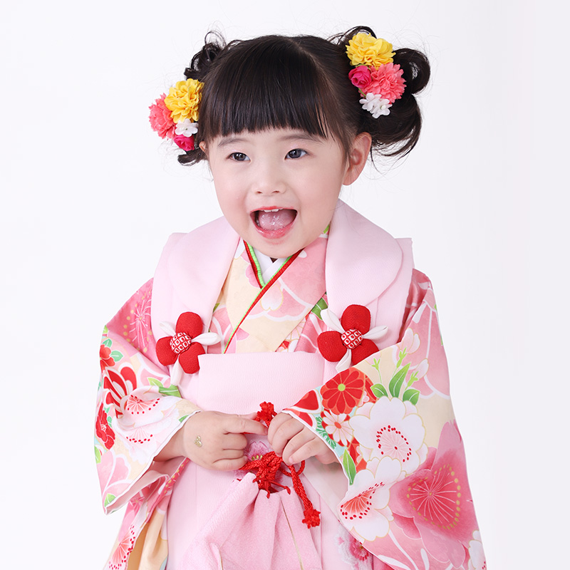 第1位：京都「花ひめ」シリーズ