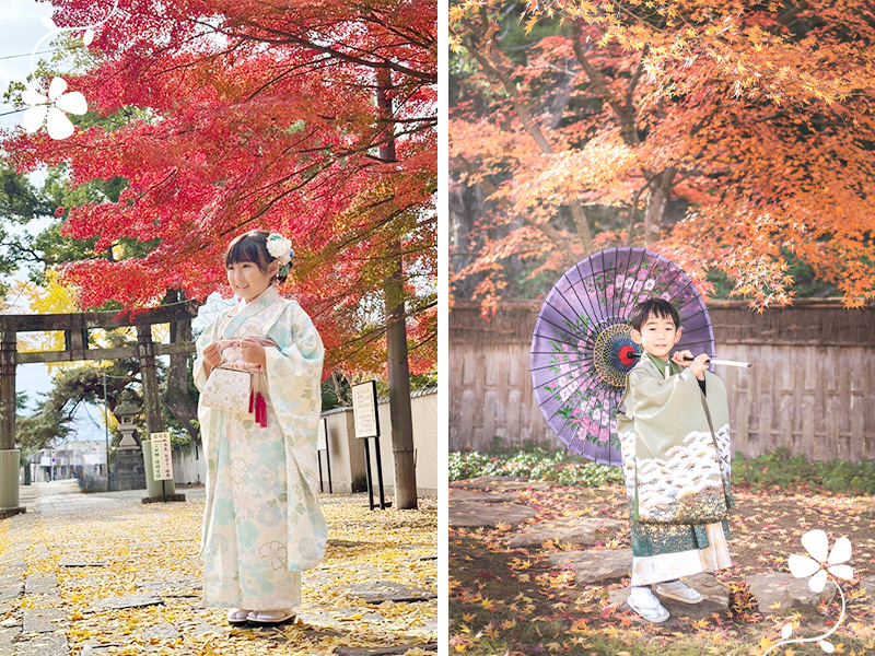 第6位:境内の紅葉(もみじ・イチョウなど)の前