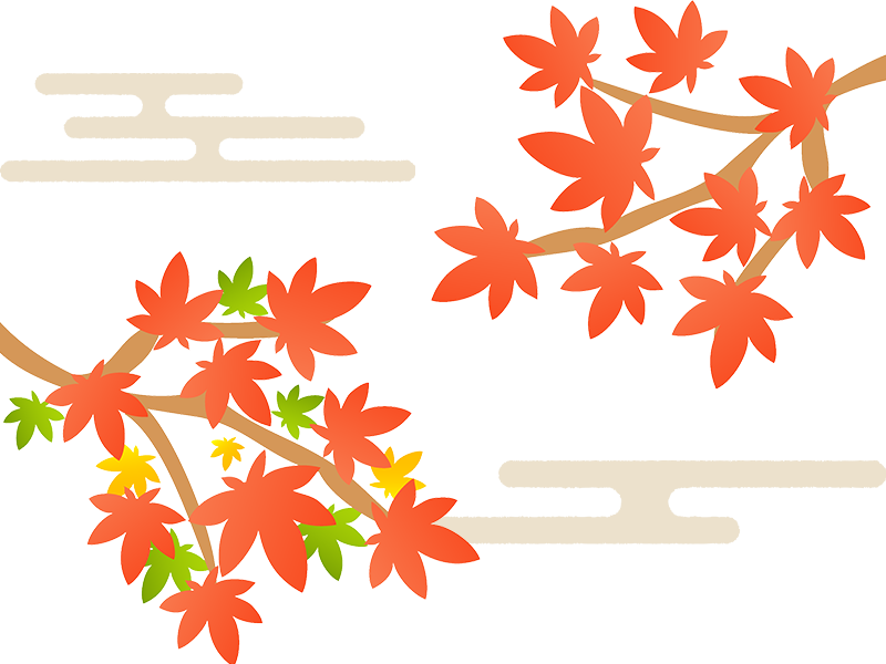 第6位：境内の紅葉（もみじ・イチョウなど）の前
